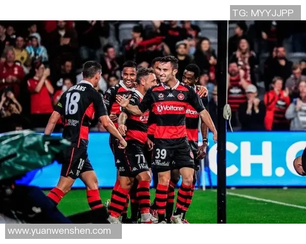 狮吼队与悉尼队激战在即竞彩009精彩对决值得期待