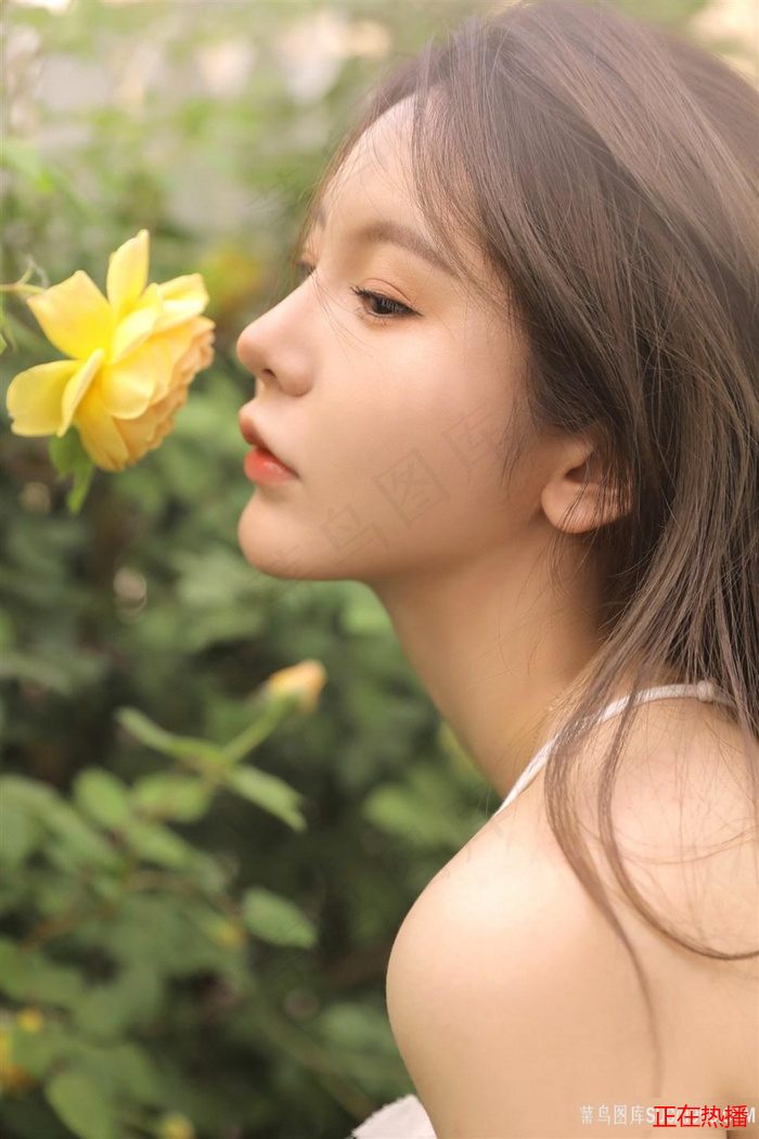 少女哔哩哔哩高清在线观看